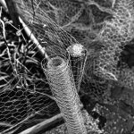 chicken-wire-3140509_1280