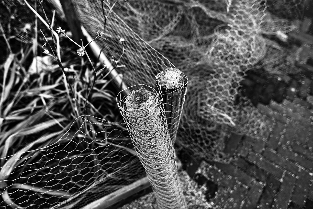 chicken-wire-3140509_1280