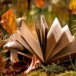 Masal terapisi eğitimi (1)