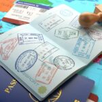 almanya ticari vize (5)