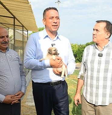 chp-mersin-milletvekilleri-ali-mahir-basarir-ile-chp-mersin-milletvekili-talat-dincer-yenisehir-belediyesinin-hayvan-bakimevini-gezdi.jpg