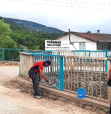 kocaelide-kopru-korkuluklari-boyaniyor.jpg