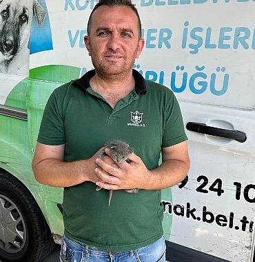 konakta-copten-umut-dogdu.jpg