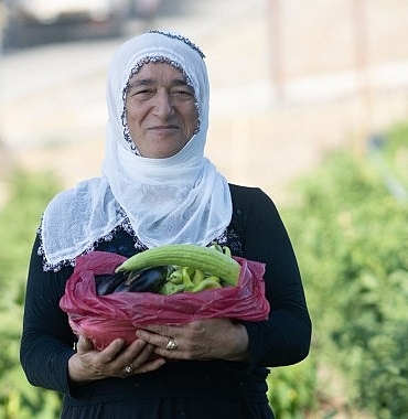 mahalle-bostaninda-hasat-zamani.jpg