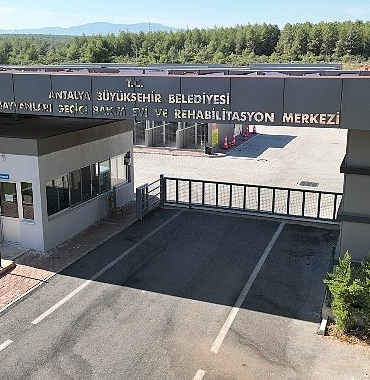 sosyal-belediyecilikte-en-iyisi-antalya-buyuksehir.jpg