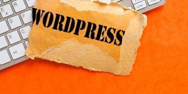 wordpress ajansı (3)