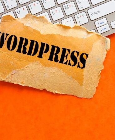 wordpress ajansı (3)