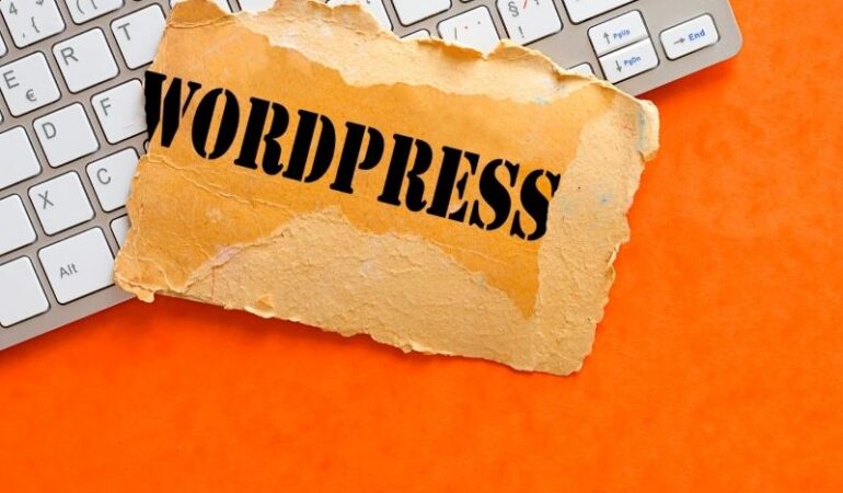 wordpress ajansı (3)