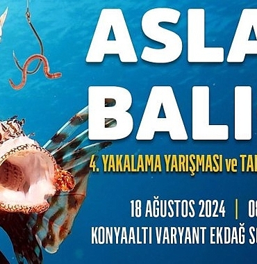 aslan-baligi-yakalama-yarismasi.jpg