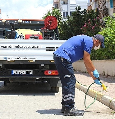 buyuksehir-vektorle-mucadele-calismasini-araliksiz-surduruyor.jpg