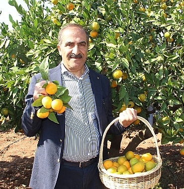 ihracatci-istedi-tarsim-mandalinanin-sigorta-bedelini-artirdi.jpg