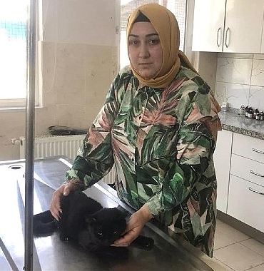 inegol-belediyesi-veteriner-isleri-mudurlugu-266-can-dostu-yeni-yuvasina-kavustu.jpg