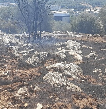 izmirde-yangin-fabrikalara-ulasmadan-kontrol-altina-alindi.jpg