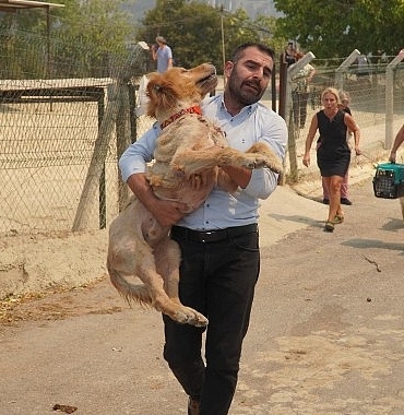 karsiyakanin-cigerleri-yaniyor.jpg