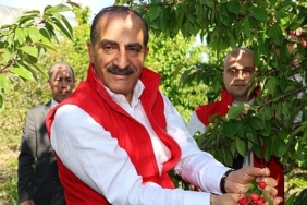 kiraz-ihracati-209-milyon-dolara-ulasti.jpg