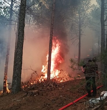 mugla-buyuksehir-orman-yanginlarinda-tum-gucuyle-sahada.jpg
