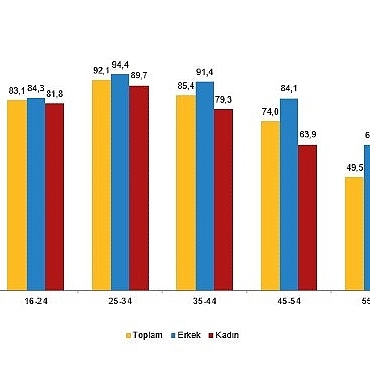 tuik-internet-kullanan-bireylerin-orani-%888-oldu.jpg