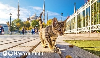 turkiyenin-buyuk-sehirlerinde-eylul-ayinin-ortalarinda-gorulen-sicak-ve-gunesli-havalar-yerini-serin-ve-yagisli-havaya-birakacak.jpg