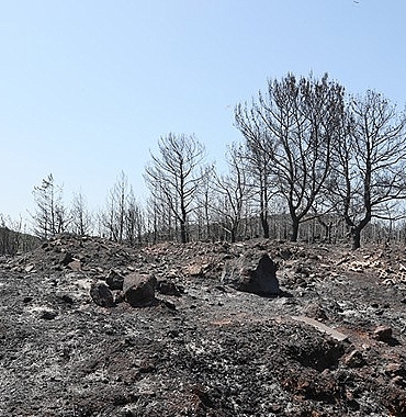 urla-kullerinden-dogacak.jpg