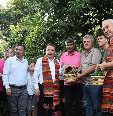 baskan-bocekten-avokado-ve-mango-hasadi.jpg
