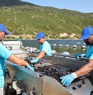 carrefoursadan-mavi-ekonomi-ile-surdurulebilir-deniz-urunleri-atagi.jpg