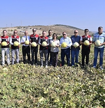 focada-5-geleneksel-kavun-hasat-senligi-coskuyla-kutlandi.jpg