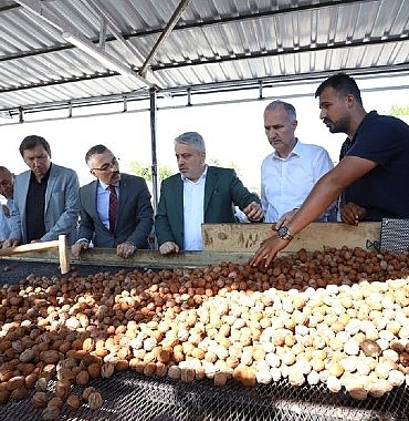 inegolde-hedef-42-bin-ton-ceviz.jpg