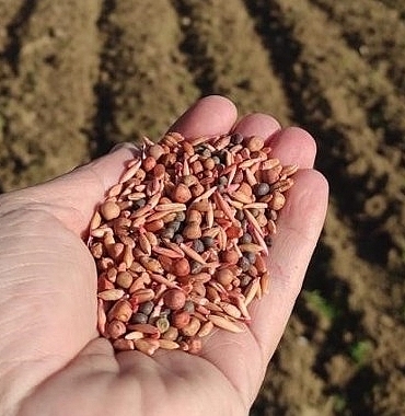 manisa-buyuksehir-belediyesi-ureticileri-destekleme-calismalari-kapsaminda-500-ton-tohum-desteginde-bulunacak.jpg