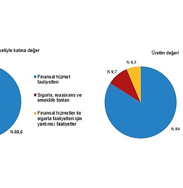 tuik-mali-araci-kuruluslar-sektorunde-2023-yilinda-20-110-girisim-faaliyette-bulundu.jpg