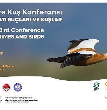 21-turkiye-kus-konferansi-18-20-ekim-2024te-yaban-hayati-suclari-ve-kuslar-temasiyla-ankarada.jpg