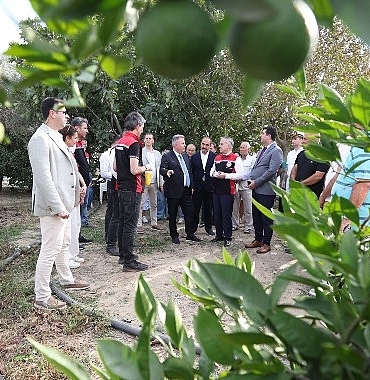 akdeniz-meyve-sinegi-ile-mucadelede-biyoteknik-yontemlerin-yayginlastirilmasi-projesi.jpg