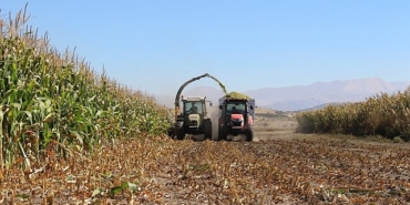 antalya-buyuksehir-belediyesi-tohum-destegiyle-ureticilerin-yanindaelmalida-silajlik-misir-hasadi-yapildi.jpg