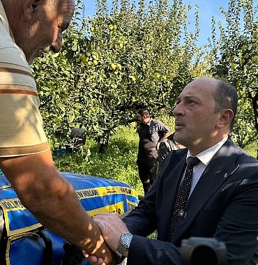 ayvanin-baskenti-geyvede-ayvanin-hasadi-basladi-geyve-belediye-baskani-selcuk-yildiz-ayva-bahcelerinde-yapilan-hasada-katildi.jpg