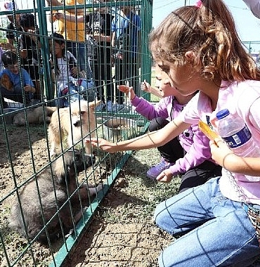 hayvanlari-koruma-gunune-renkli-kutlama.jpg