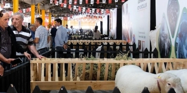 inegolde-kucukbas-hayvancilik-festivali-basladi.jpg