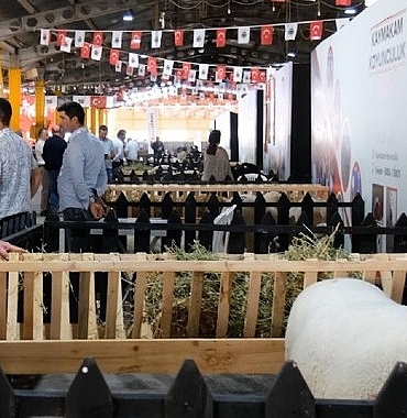 inegolde-kucukbas-hayvancilik-festivali-basladi.jpg