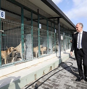 inegolde-sokak-hayvanlari-icin-yeni-adimlar-atiliyor.jpg