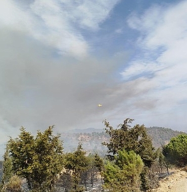 izmir-buyuksehir-belediyesi-ekipleri-focadaki-yangina-mudahaleyi-surduruyor.jpg