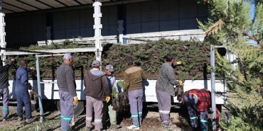 nevsehir-tarihinin-en-buyuk-agaclandirma-seferberligi-basliyor.jpg