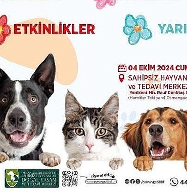 osmangazi-belediyesi-4-ekim-dunya-hayvanlari-koruma-gununde-duzenleyecegi-bir-dizi-etkinlik-ile-hayvan-haklarina-ve-dogal-yasamin-onemine-dikkat-cekecek.jpg