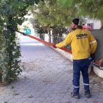 didimde-agac-budama-calismalari-suruyor.jpg