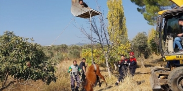 kemalpasa-ulucak-mahallesinde-su-kuyusuna-dusen-yilki-ati-ekiplerin-yogun-calismalari-sonucu-kurtarildi.jpg