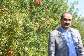 turkiyenin-10-aylik-nar-ihracati-100-milyon-dolari-asti.jpg