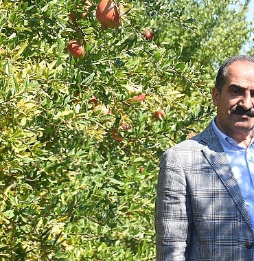 turkiyenin-10-aylik-nar-ihracati-100-milyon-dolari-asti.jpg
