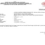 analiz-sonuclari-gercegi-ortaya-cikardi.jpg
