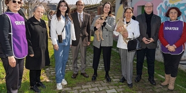 bir-patili-dost-edinmeye-ne-dersiniz.jpg