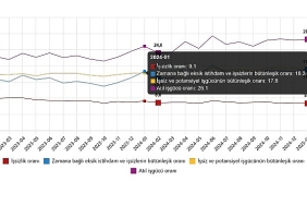 isgucu-istatistikleri-subat-2025.jpg