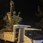 aydin-buyuksehir-belediyesinden-siddetli-yagis-ve-firtinaya-karsi-hizli-mudahale.jpg