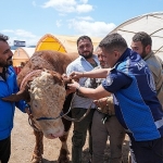 gaziemirde-kurban-satis-yerlerinde-siki-denetim.jpg