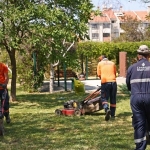 cankaya-parklarinda-cimler-biciliyor-otlar-temizleniyor.jpg